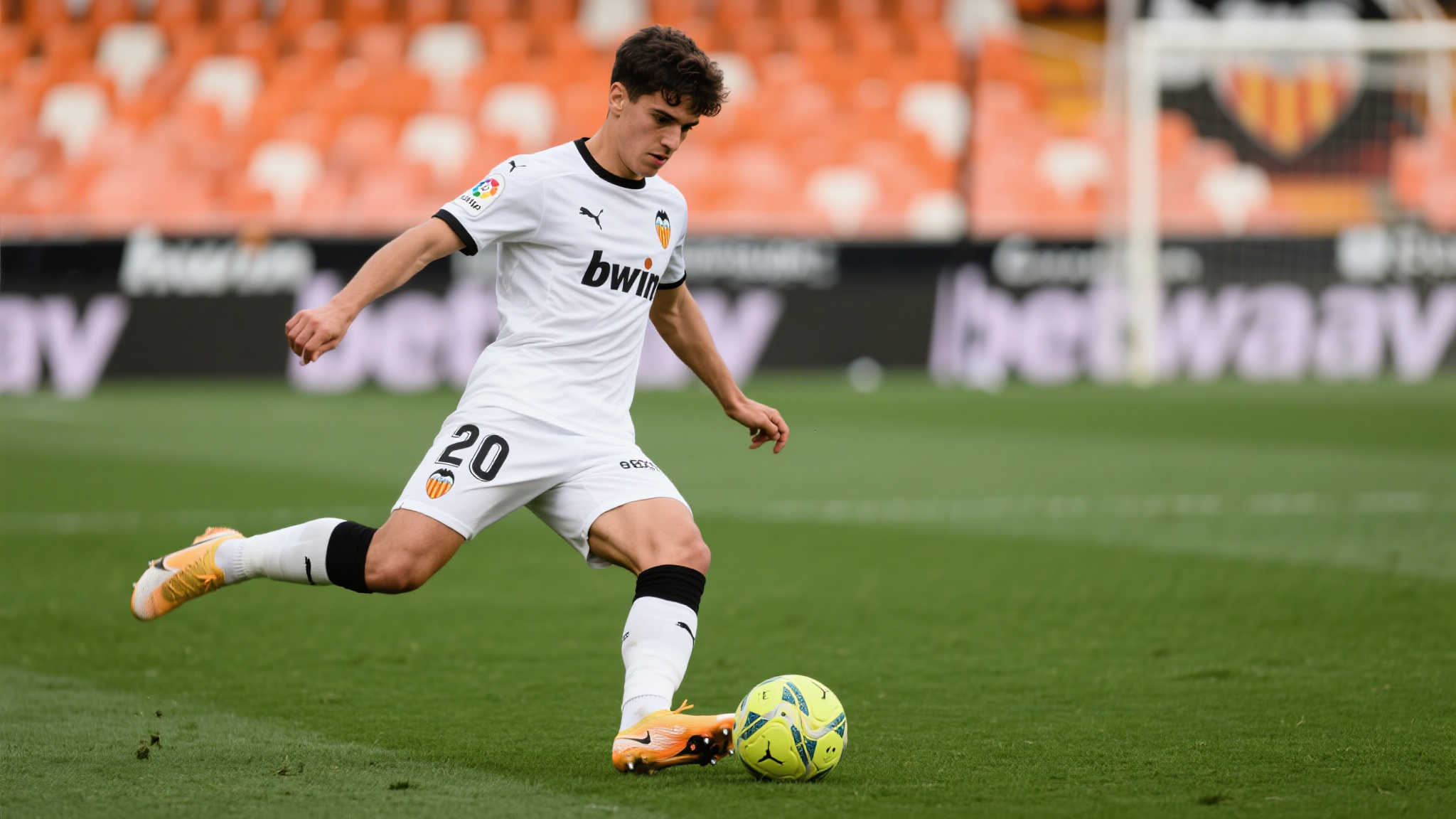 以独特风格 以独特风格