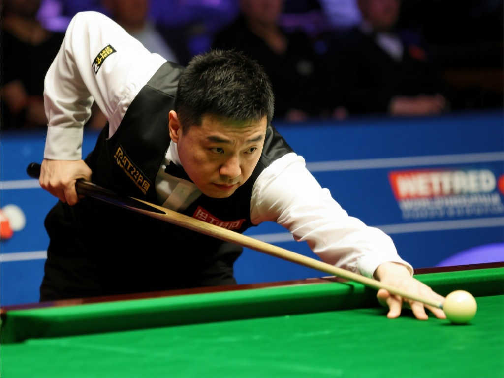 随者们更多 随者们更多